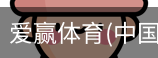 爱赢体育官网入口
